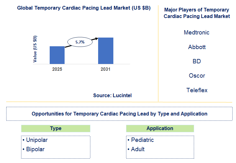 Temporary Cardiac Pacing Lead Market Trends and Forecast